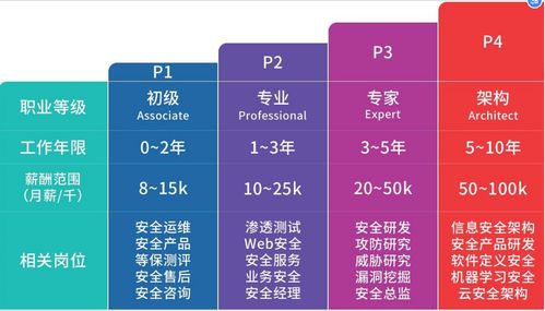 网络安全综合实战 打造网络与信息安全软件开发能力